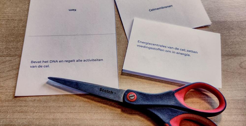 Foto van geprinte flashcards.